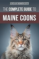 Complete guide maine for sale  Delivered anywhere in USA 