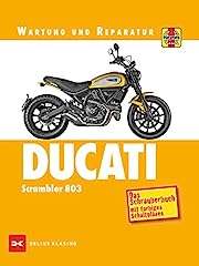 Ducati scrambler 803 usato  Spedito ovunque in Italia 