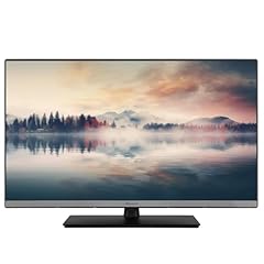 Panasonic 32s40aez série d'occasion  Livré partout en Belgiqu