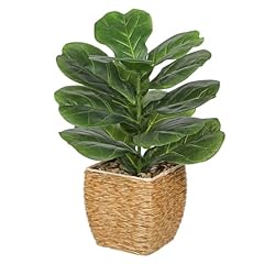 Briful fake plants for sale  Delivered anywhere in USA 