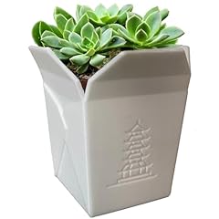 Dkwrk3d chinesische nudelbox gebraucht kaufen  Wird an jeden Ort in Deutschland