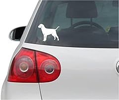 Indigos adesivo auto usato  Spedito ovunque in Italia 