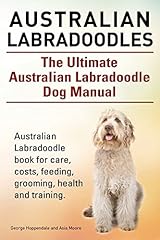 Australian labradoodles. ultim for sale  Delivered anywhere in USA 