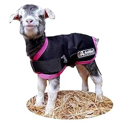 Animac lamb jacket for sale  Delivered anywhere in USA 