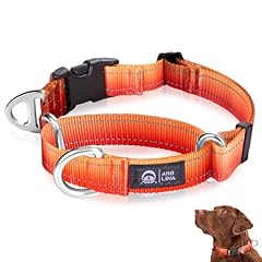 Arblina martingale dog for sale  Delivered anywhere in UK
