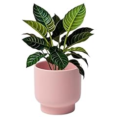 Pink ceramic plant for sale  Delivered anywhere in USA 