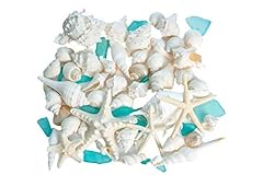 Sea shells real for sale  Delivered anywhere in USA 