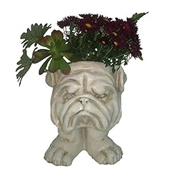 Bovte fvlfil homestyles for sale  Delivered anywhere in USA 