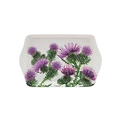 Purple thistle small for sale  Delivered anywhere in UK