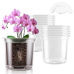 Supking clear plant for sale  Delivered anywhere in USA 