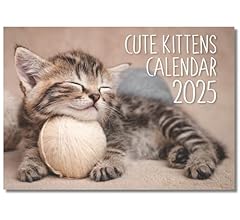 2025 cute kittens for sale  Delivered anywhere in UK