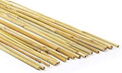 Generico canne bambù usato  Spedito ovunque in Italia 