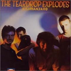 Teardrop explodes 6 for sale  Delivered anywhere in UK