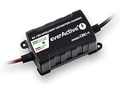 Everactive car battery usato  Spedito ovunque in Italia 