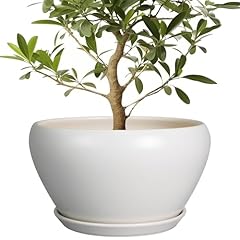 Ceramicfor planter indoor for sale  Delivered anywhere in USA 