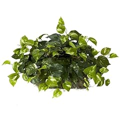 Nearly natural 15in. for sale  Delivered anywhere in USA 