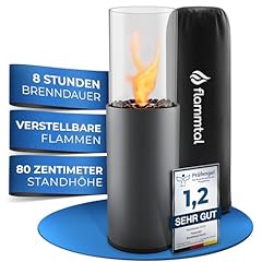 Flammtal bioethanol kamin gebraucht kaufen  Wird an jeden Ort in Deutschland