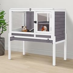Gutinneen indoor guinea for sale  Delivered anywhere in USA 