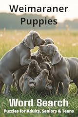 Words weimaraner puppies for sale  Delivered anywhere in UK
