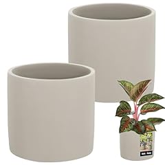 Kotarbau blumentopf keramik gebraucht kaufen  Wird an jeden Ort in Deutschland