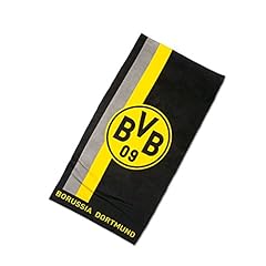Borussia dortmund bvb gebraucht kaufen  Wird an jeden Ort in Deutschland