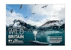 2024 calendar wild for sale  Delivered anywhere in UK