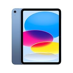 Apple ipad azzurro usato  Spedito ovunque in Italia 