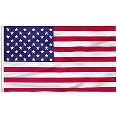 Flagburg amerikanische flagge gebraucht kaufen  Wird an jeden Ort in Deutschland