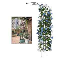 Semiarco giardino metallo usato  Spedito ovunque in Italia 