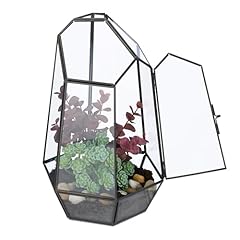 Relaxdays pflanzenterrarium gl gebraucht kaufen  Wird an jeden Ort in Deutschland