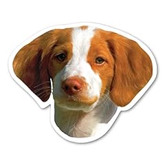 Brittany spaniel dog for sale  Delivered anywhere in USA 
