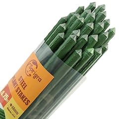 Sprigra plant stakes for sale  Delivered anywhere in USA 