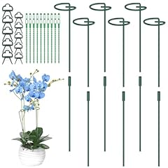 Hanotic 6pcs plant for sale  Delivered anywhere in UK