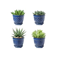 Sureasy succulent pots for sale  Delivered anywhere in USA 
