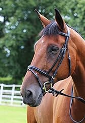 Gallop padded bridle for sale  Delivered anywhere in UK