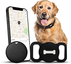 Romansei smart pet for sale  Delivered anywhere in USA 