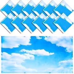 Hortsun pcs fluorescent for sale  Delivered anywhere in USA 