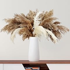 Natural dried pampas for sale  Delivered anywhere in USA 
