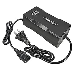 Yzpower 60v lead for sale  Delivered anywhere in USA 