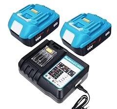 Zfchunt 2x6ah batterie usato  Spedito ovunque in Italia 