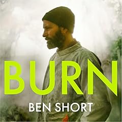 Burn story fire for sale  Delivered anywhere in UK