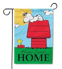 Flagology peanuts home for sale  Delivered anywhere in USA 