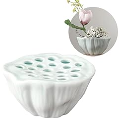 Lotus pod flower for sale  Delivered anywhere in USA 