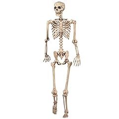 Halloween decoration skeleton for sale  Delivered anywhere in UK
