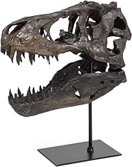 Jotnbobo dinosaurier schädel gebraucht kaufen  Wird an jeden Ort in Deutschland