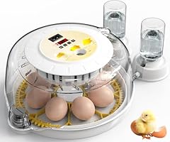 Detodda incubator eggs for sale  Delivered anywhere in UK