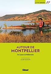 Autour montpellier d'occasion  Livré partout en France