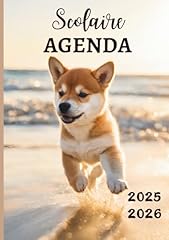 Agenda scolaire shiba d'occasion  Livré partout en France