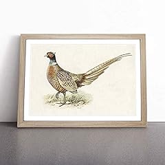 Ring necked pheasant for sale  Delivered anywhere in UK