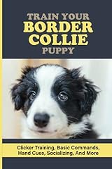 Train border collie for sale  Delivered anywhere in UK